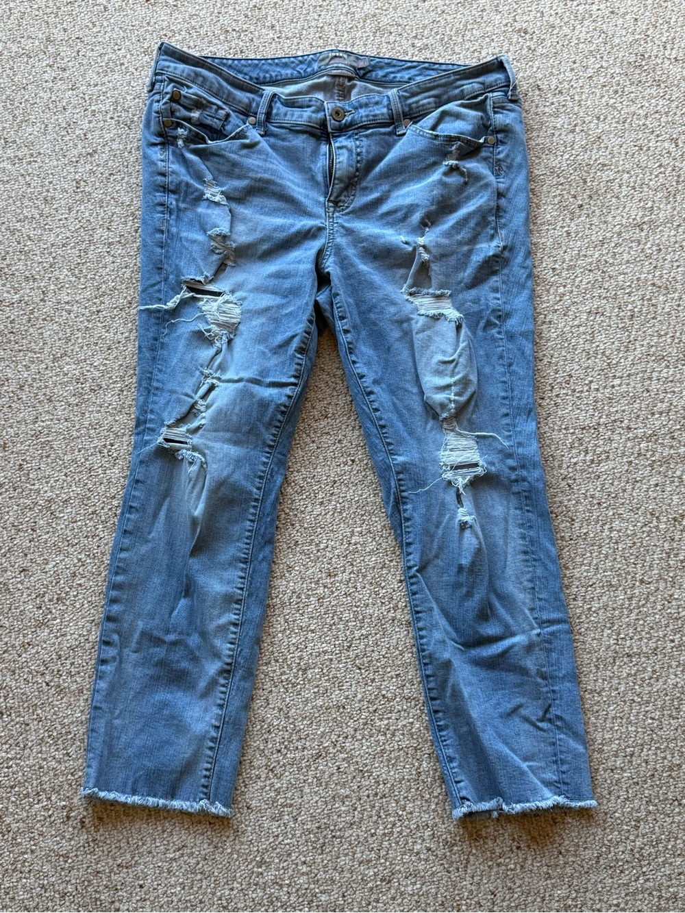 torrid Light Blue Distressed Boyfriend Jeans